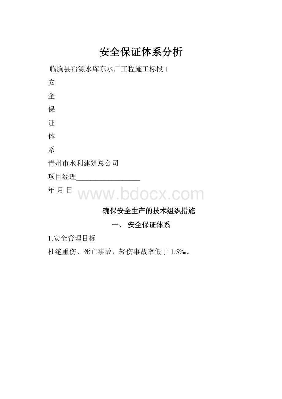 安全保证体系分析.docx_第1页