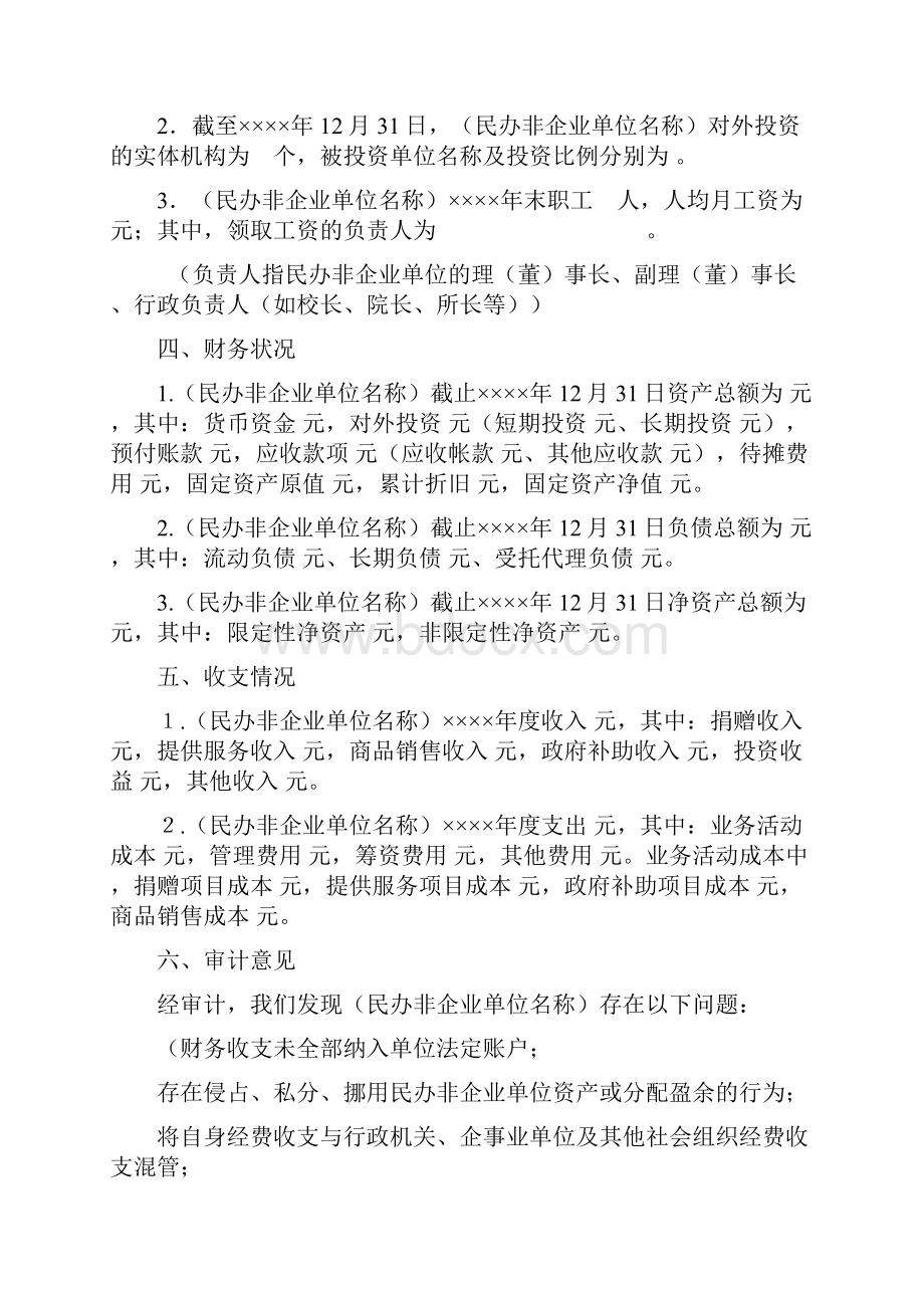 民办非企业单位财务审计报告模板.docx_第3页