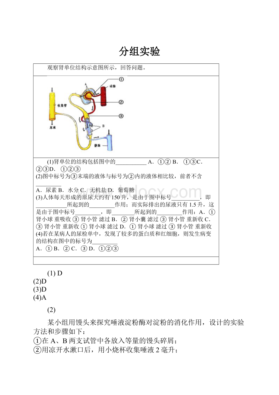 分组实验.docx