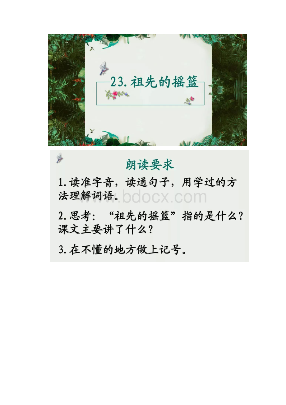 统编版二年级下册语文二年级下册23祖先的摇篮知识讲解+图文讲解.docx_第3页