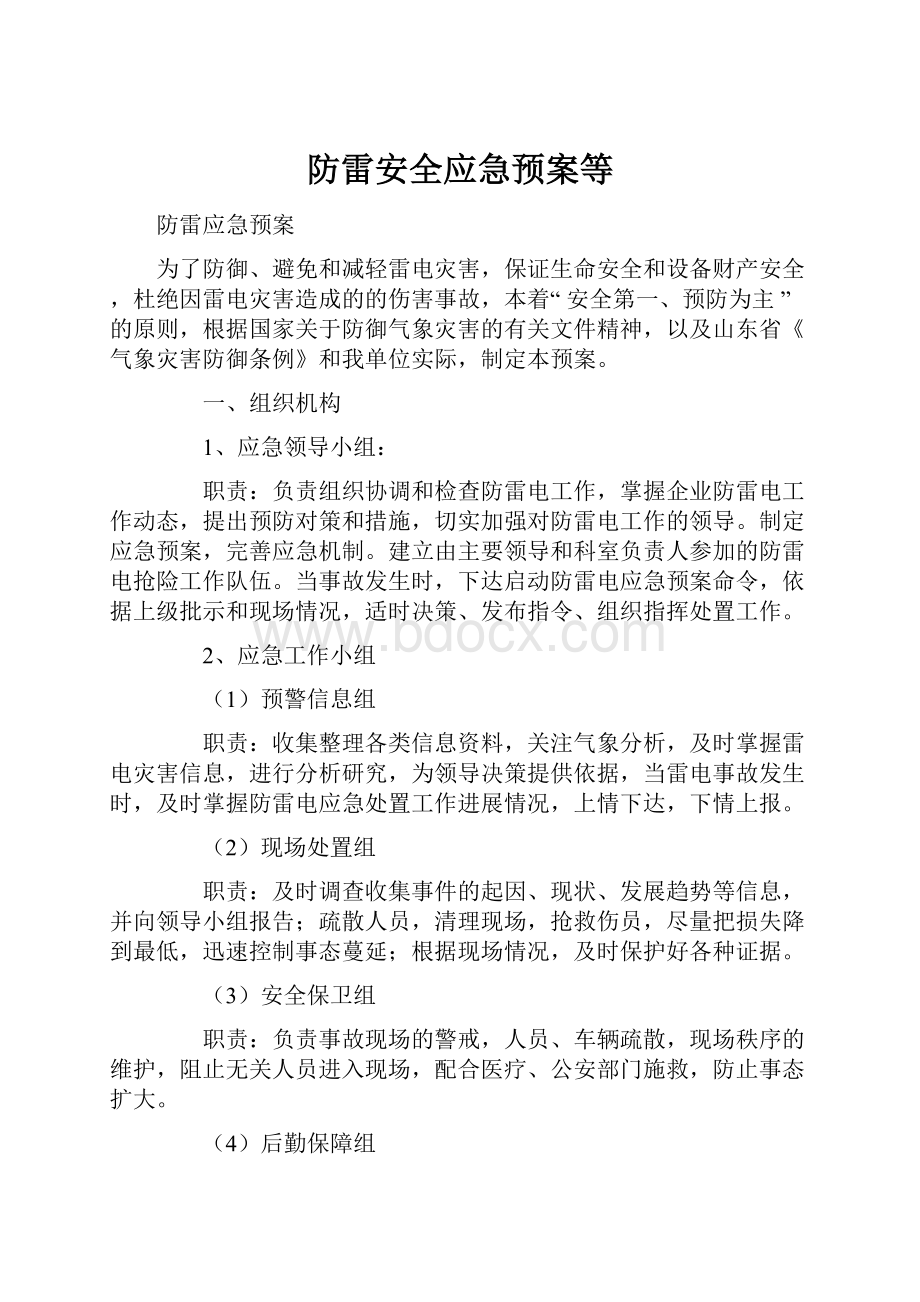 防雷安全应急预案等.docx_第1页