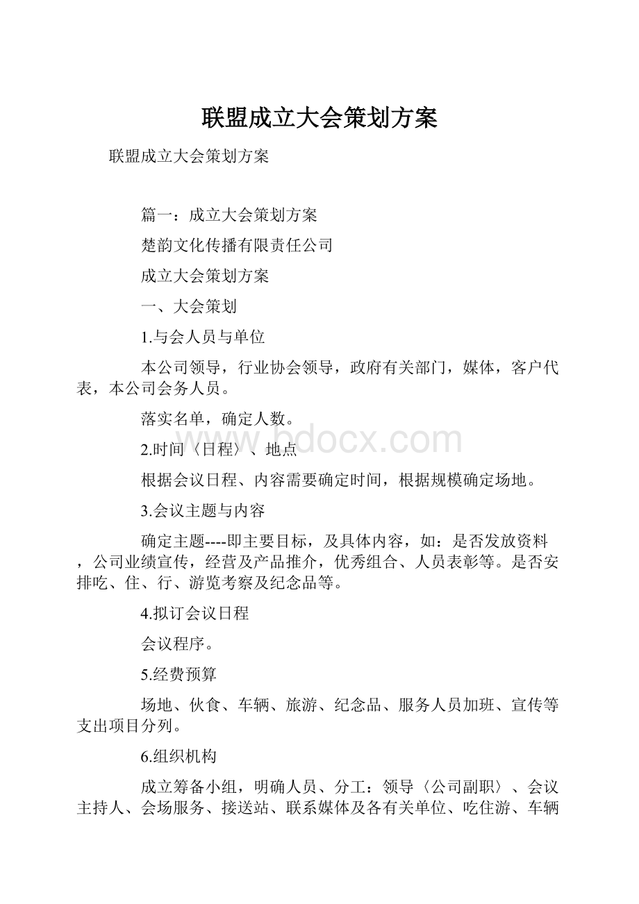 联盟成立大会策划方案.docx