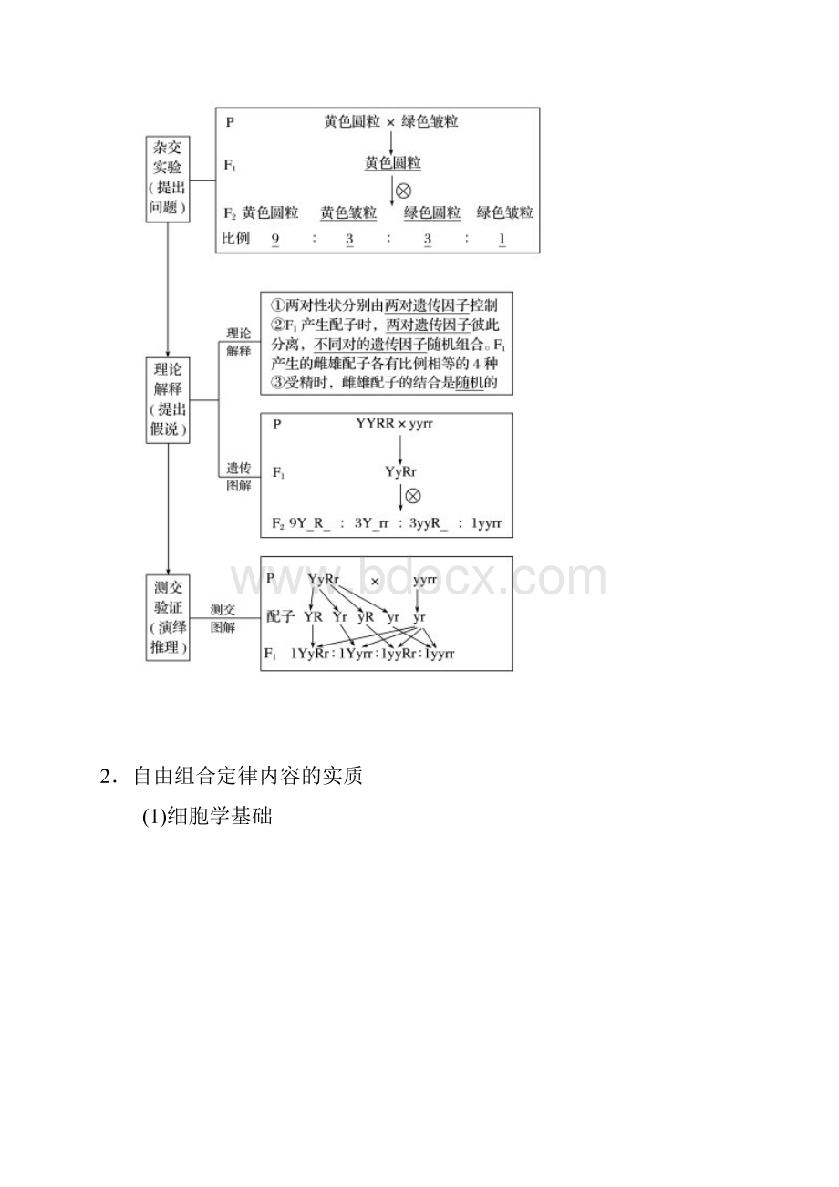 届一轮复习人教版 第15讲基因的自由组合定律 学案.docx_第2页