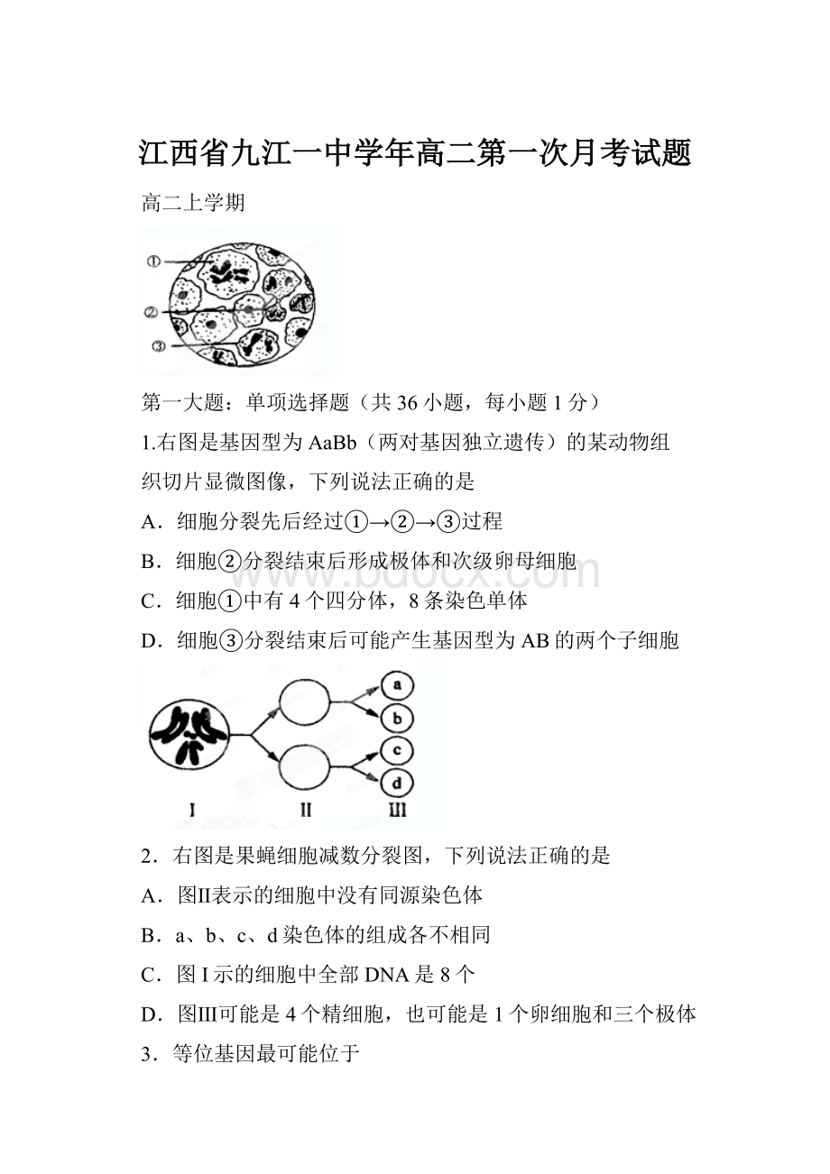 江西省九江一中学年高二第一次月考试题.docx