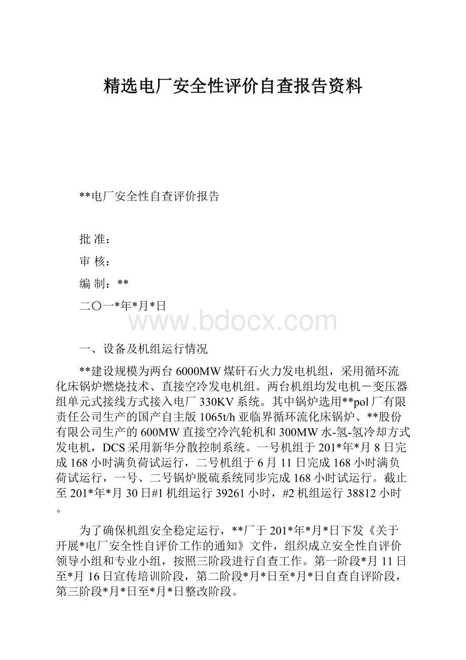 精选电厂安全性评价自查报告资料.docx