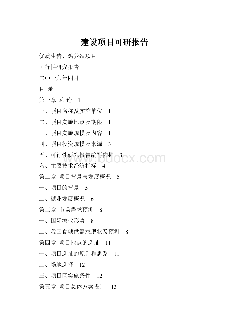 建设项目可研报告.docx