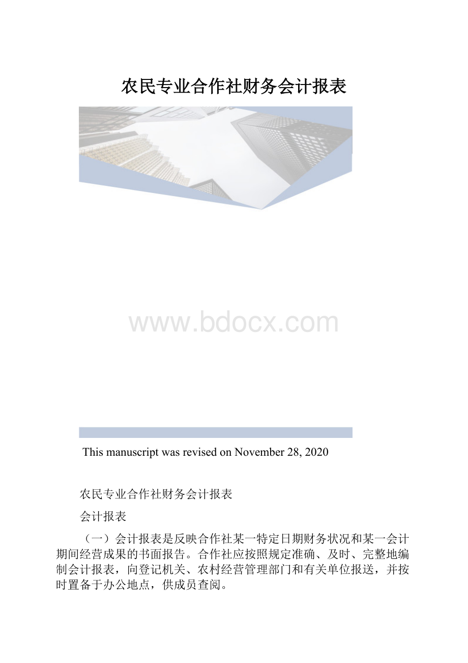 农民专业合作社财务会计报表.docx