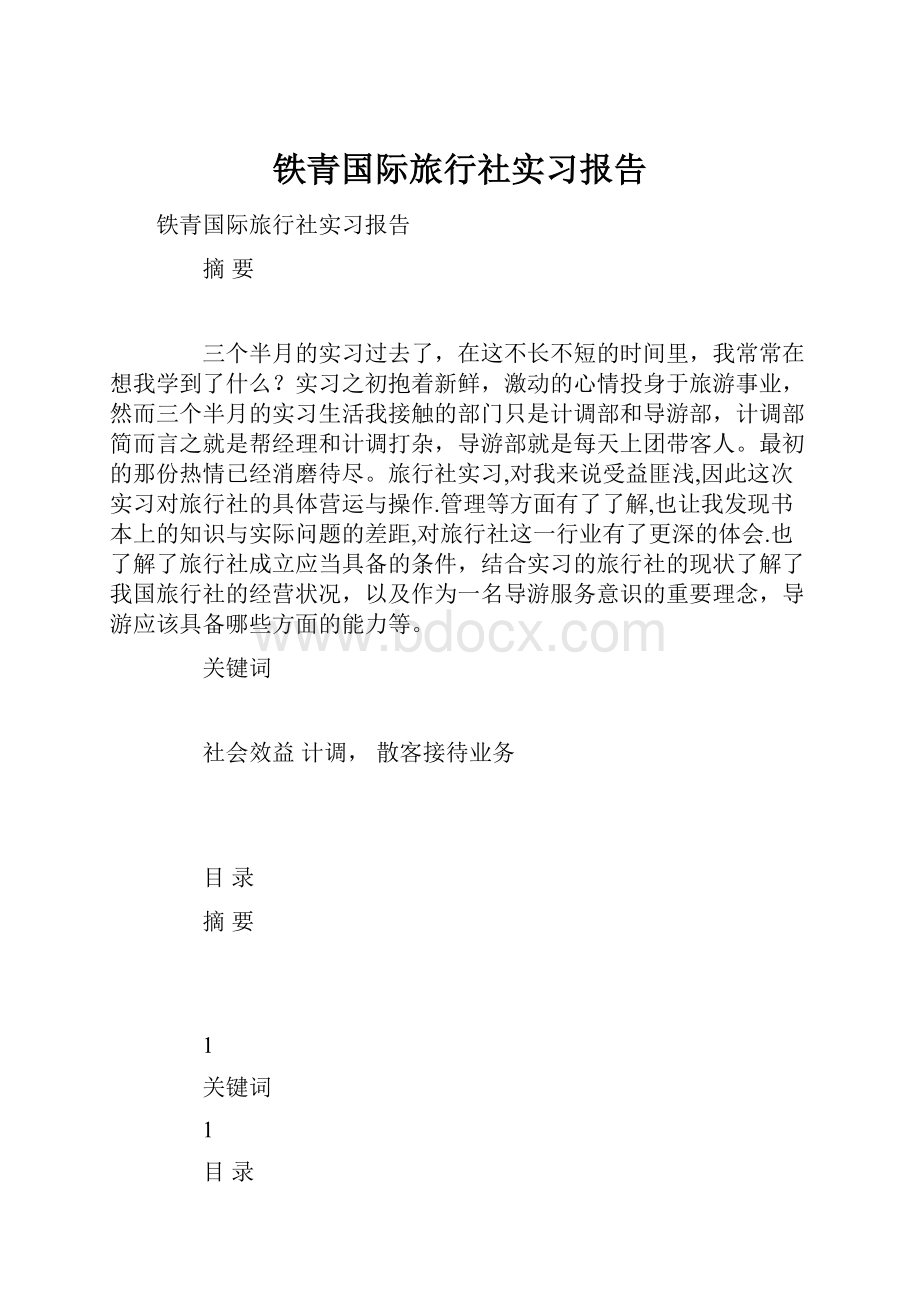 铁青国际旅行社实习报告.docx