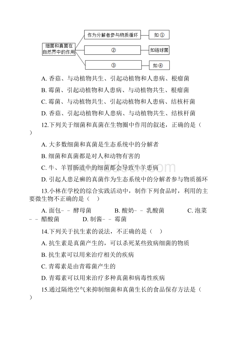 初中生物人教版八年级上册54 细菌和真菌 章末检测解析版.docx_第3页