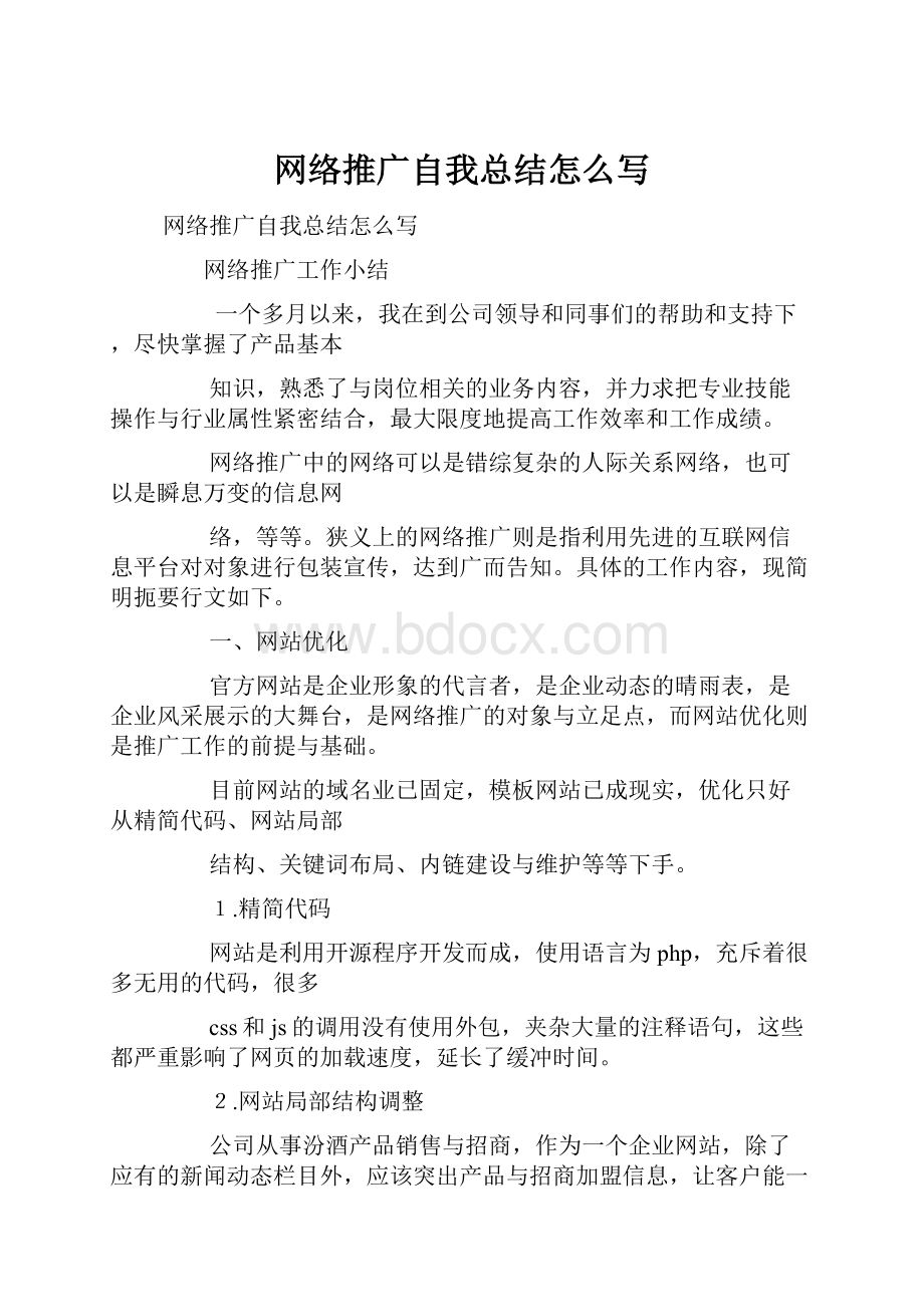 网络推广自我总结怎么写.docx