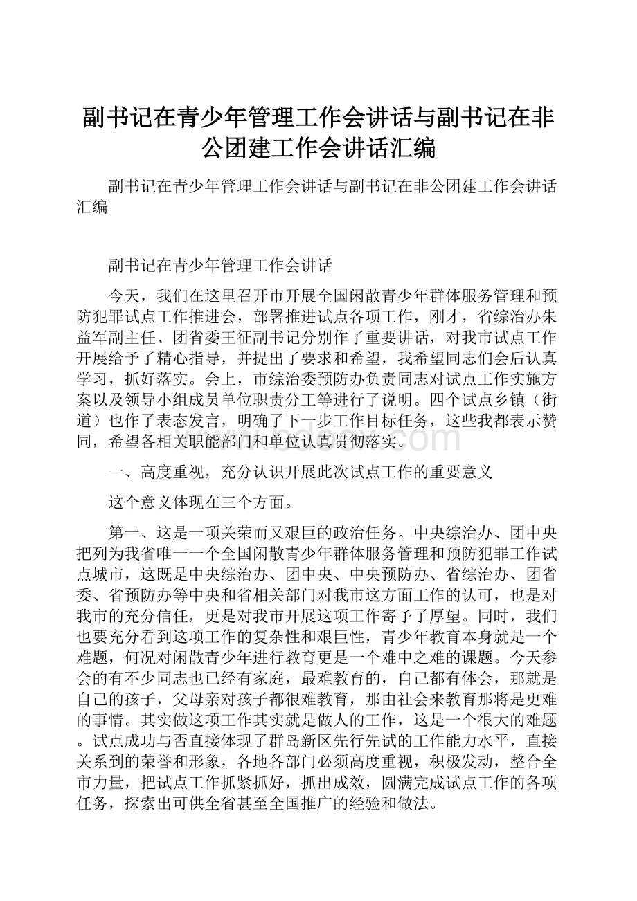 副书记在青少年管理工作会讲话与副书记在非公团建工作会讲话汇编.docx