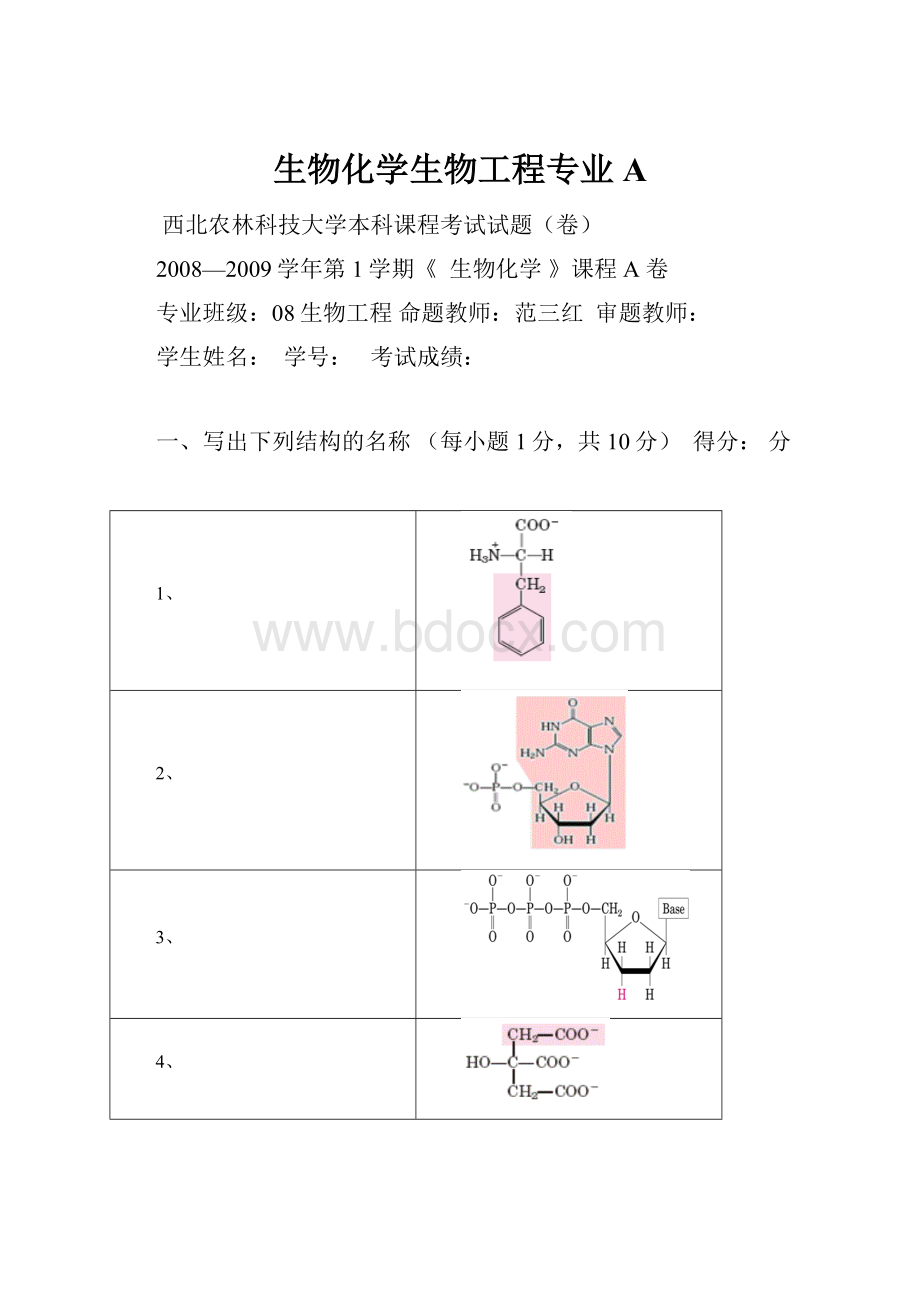 生物化学生物工程专业 A.docx_第1页