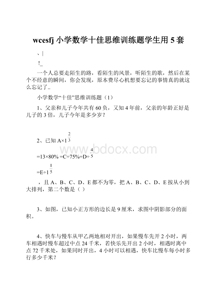 wcesfj小学数学十佳思维训练题学生用5套.docx