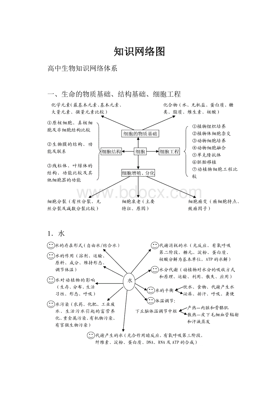 知识网络图.docx_第1页