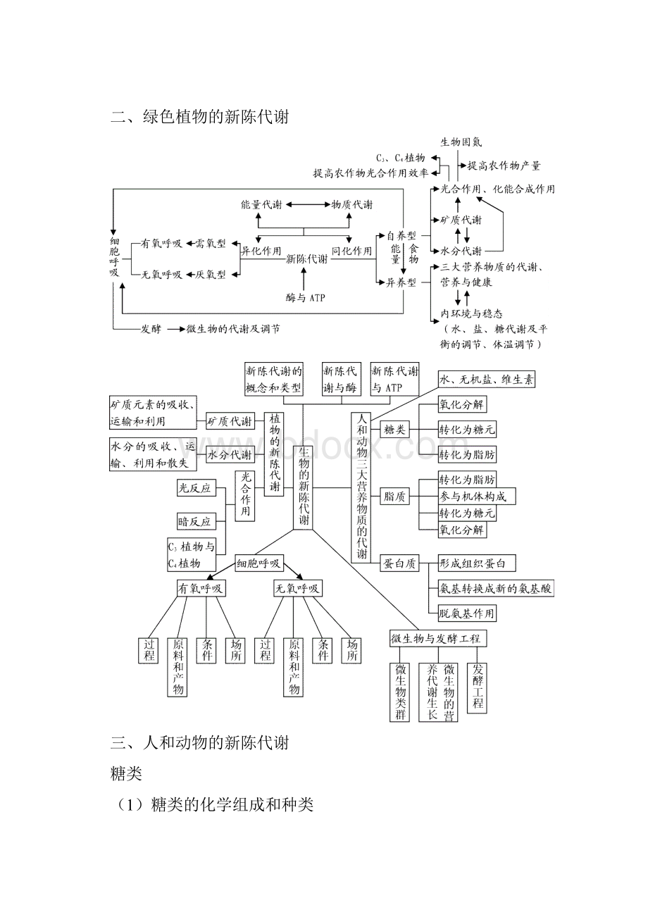 知识网络图.docx_第3页