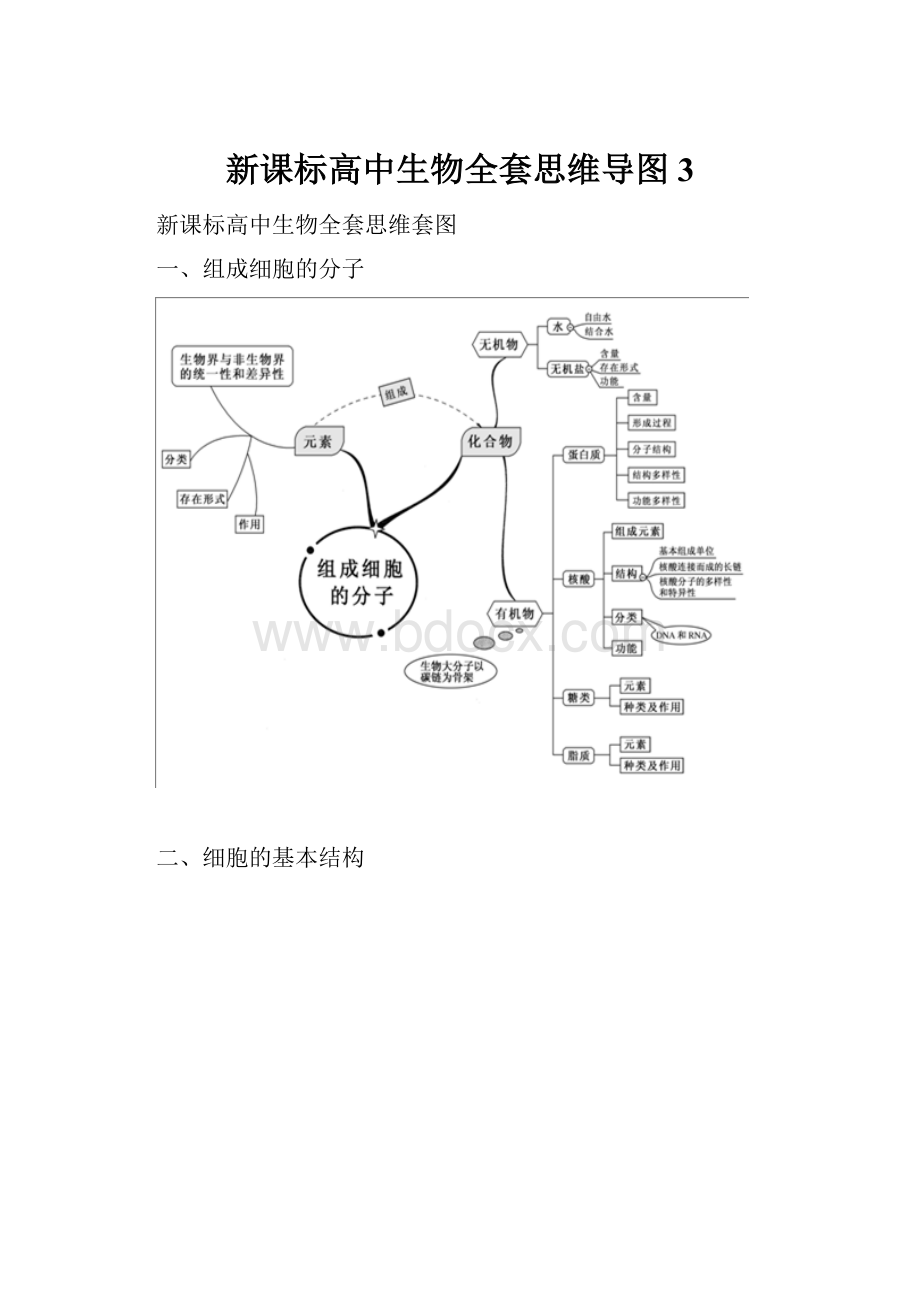 新课标高中生物全套思维导图 3.docx_第1页