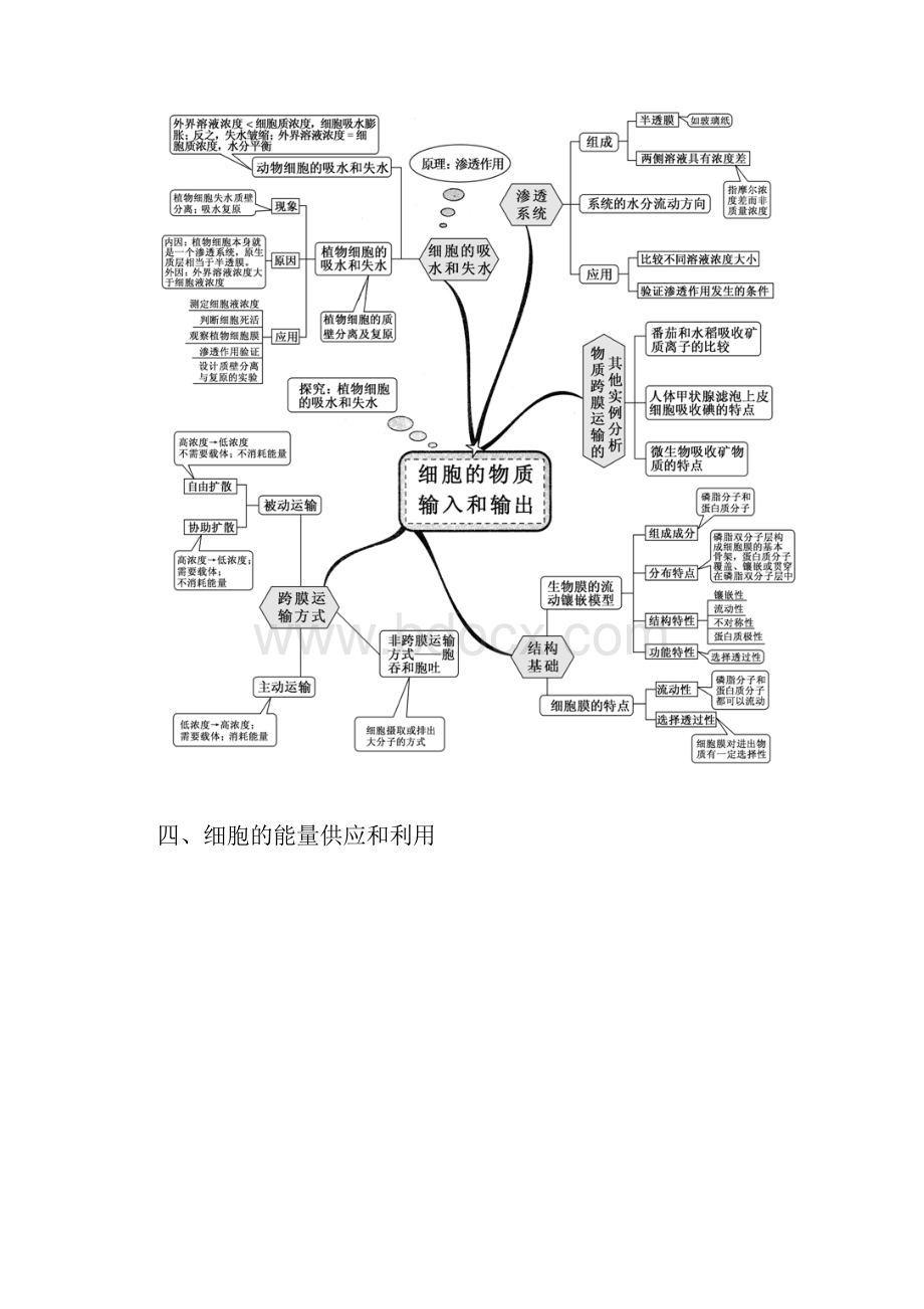 新课标高中生物全套思维导图 3.docx_第3页