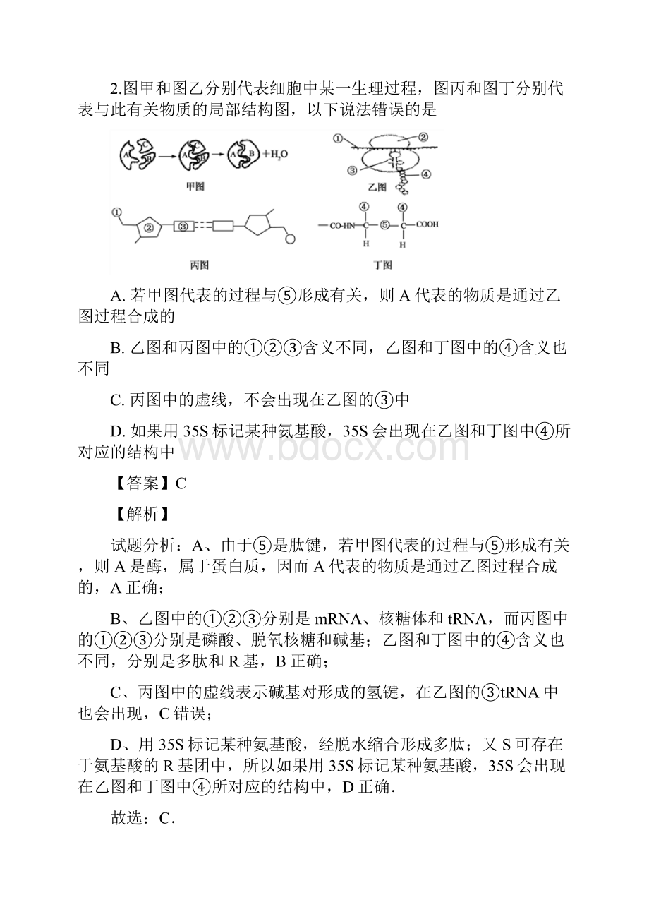 广东省化州市届高三上学期第二次模拟考试理科综合生物试题.docx_第2页