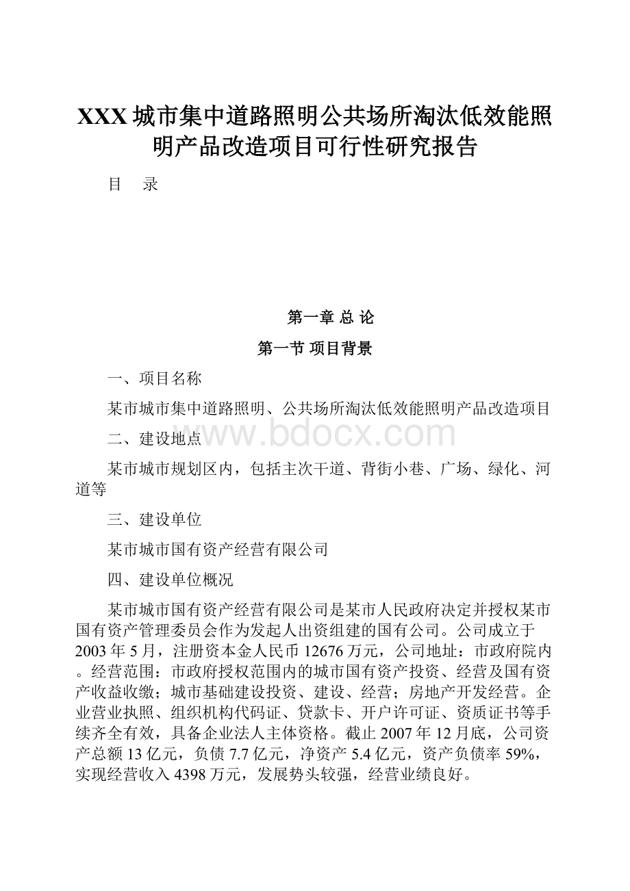 XXX城市集中道路照明公共场所淘汰低效能照明产品改造项目可行性研究报告.docx_第1页