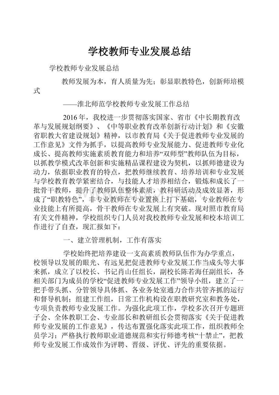 学校教师专业发展总结.docx