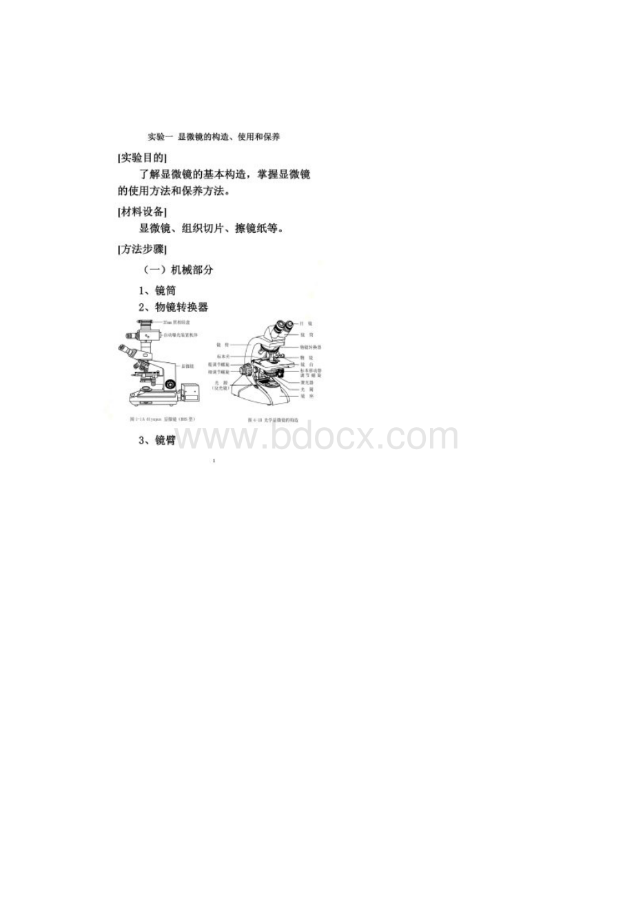 动物解剖生理实验指导.docx_第2页