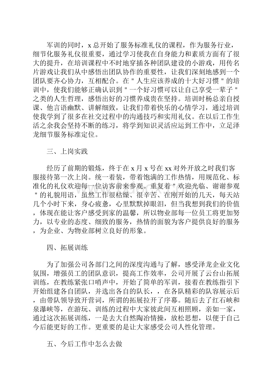 简洁的个人试用期工作总结.docx_第2页