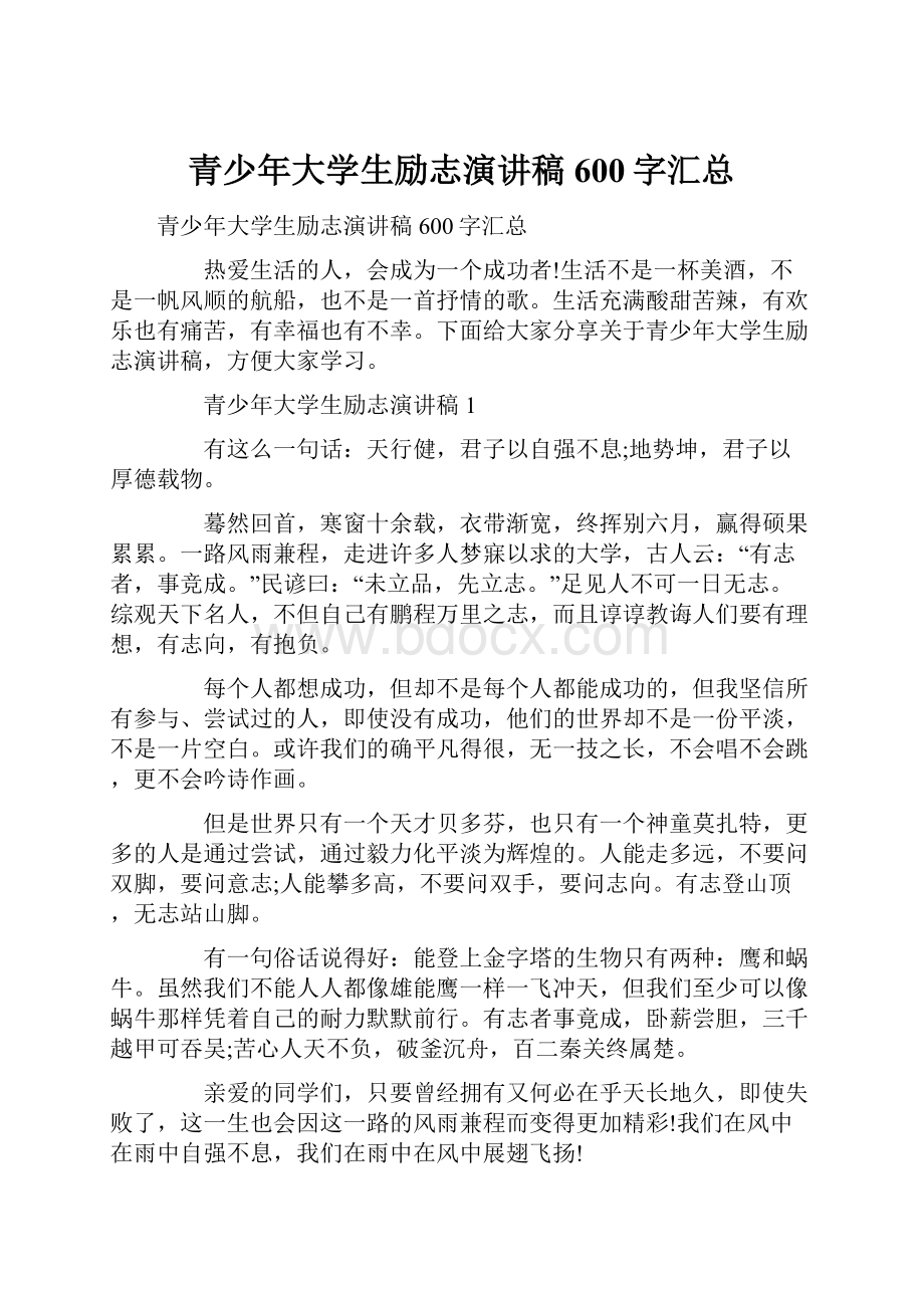 青少年大学生励志演讲稿600字汇总.docx_第1页