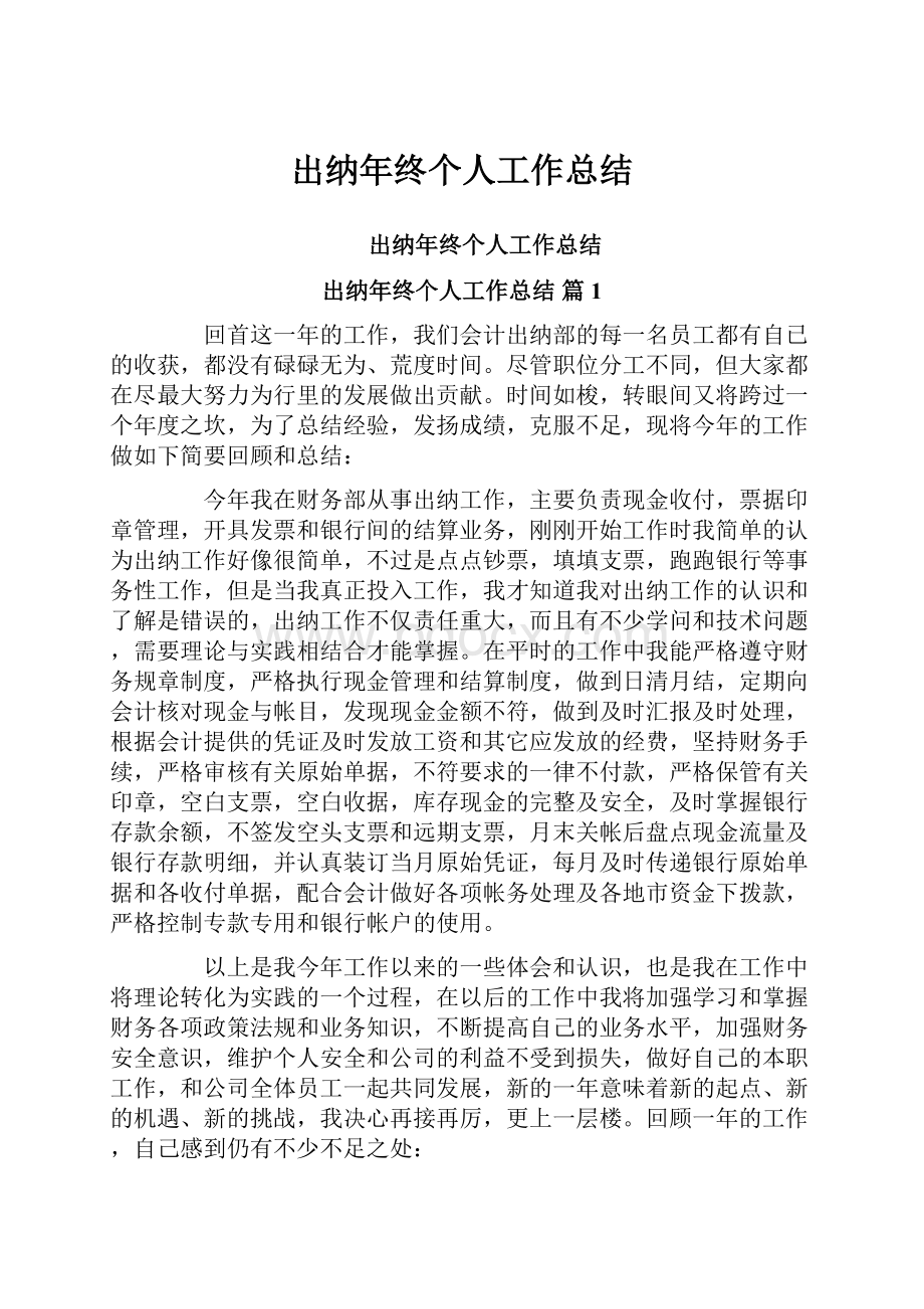 出纳年终个人工作总结.docx