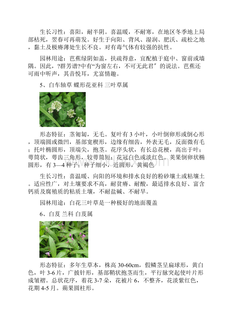 200种植物.docx_第3页