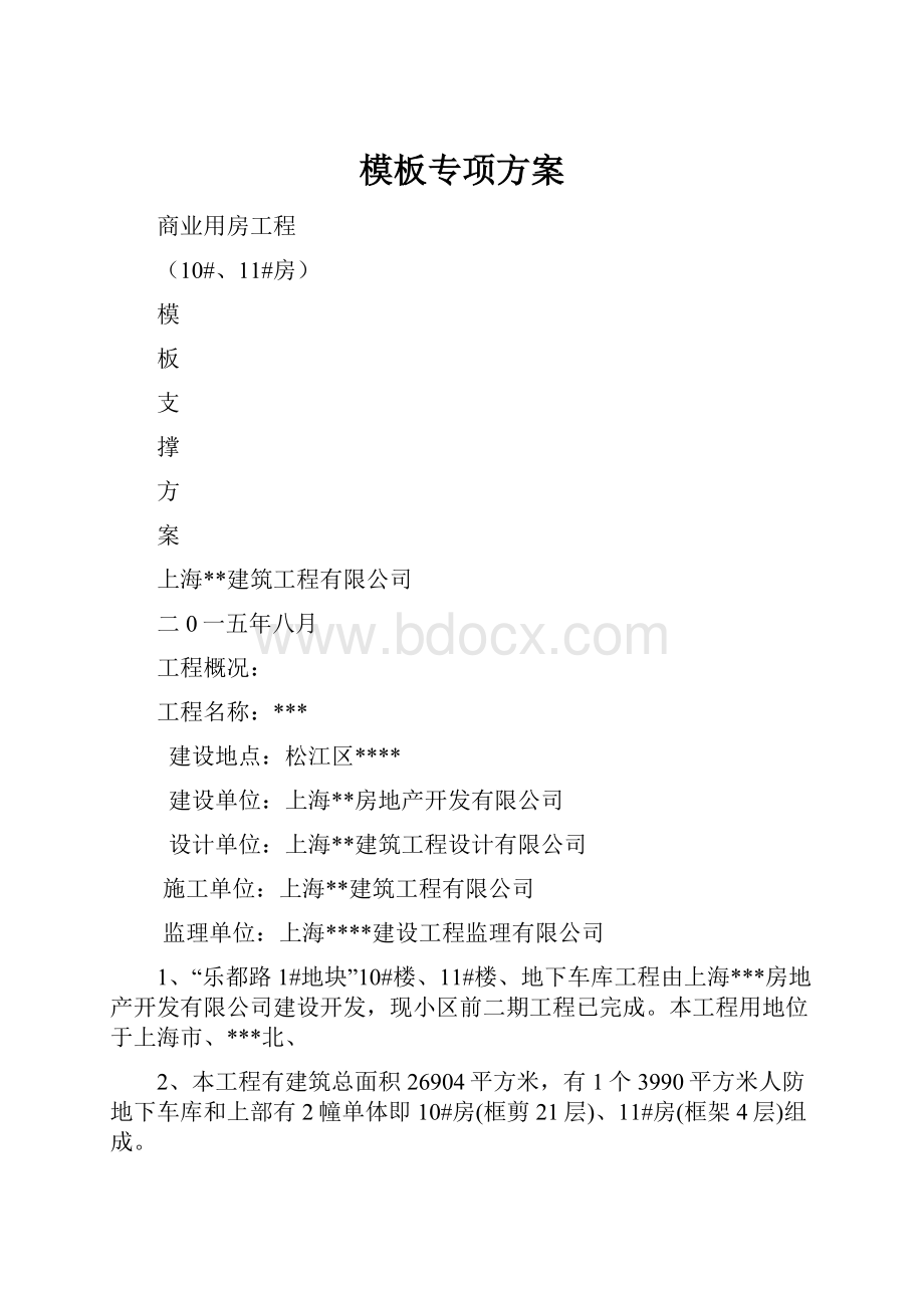 模板专项方案.docx_第1页