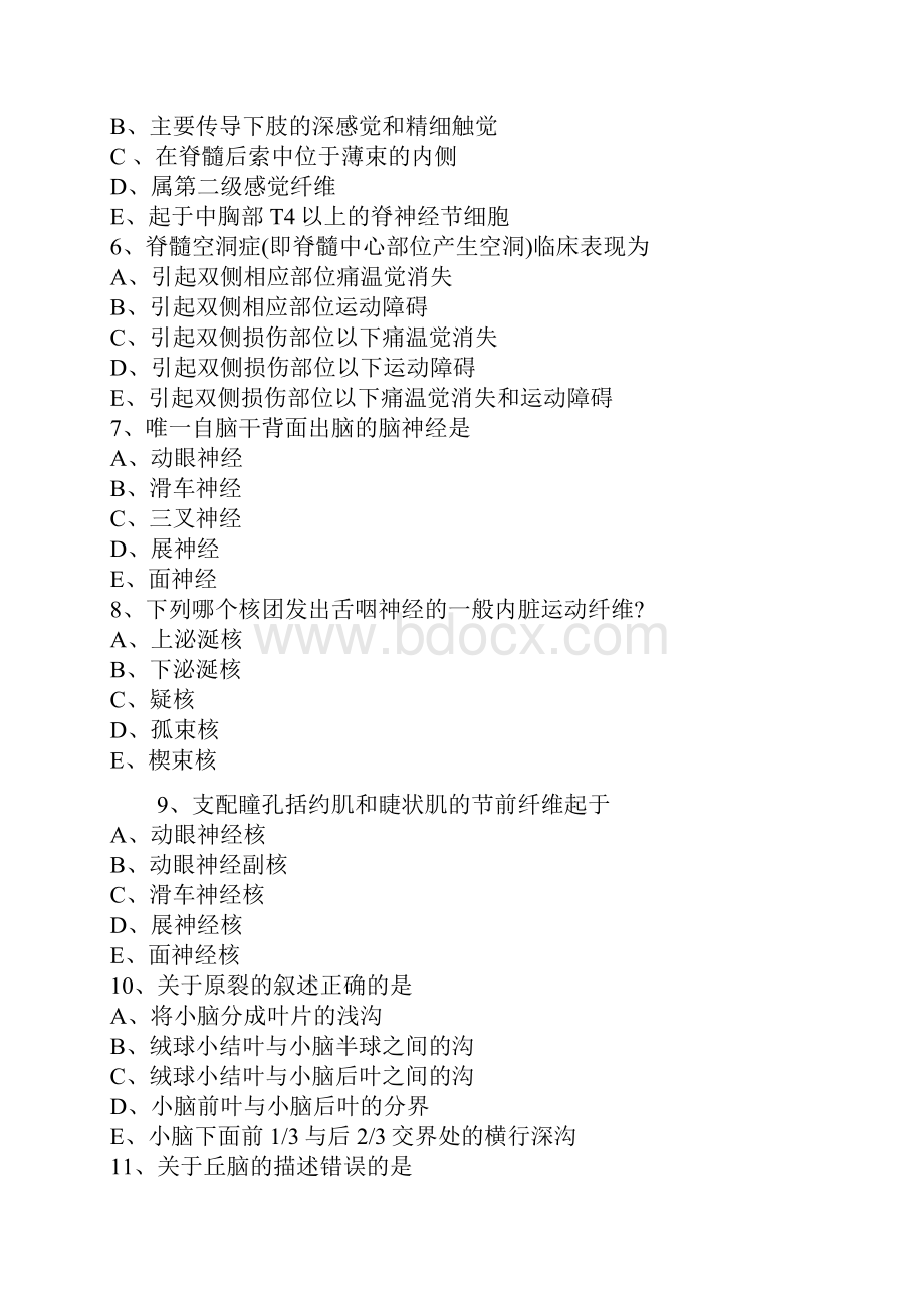 系统解剖复习习题神经系统中文.docx_第2页