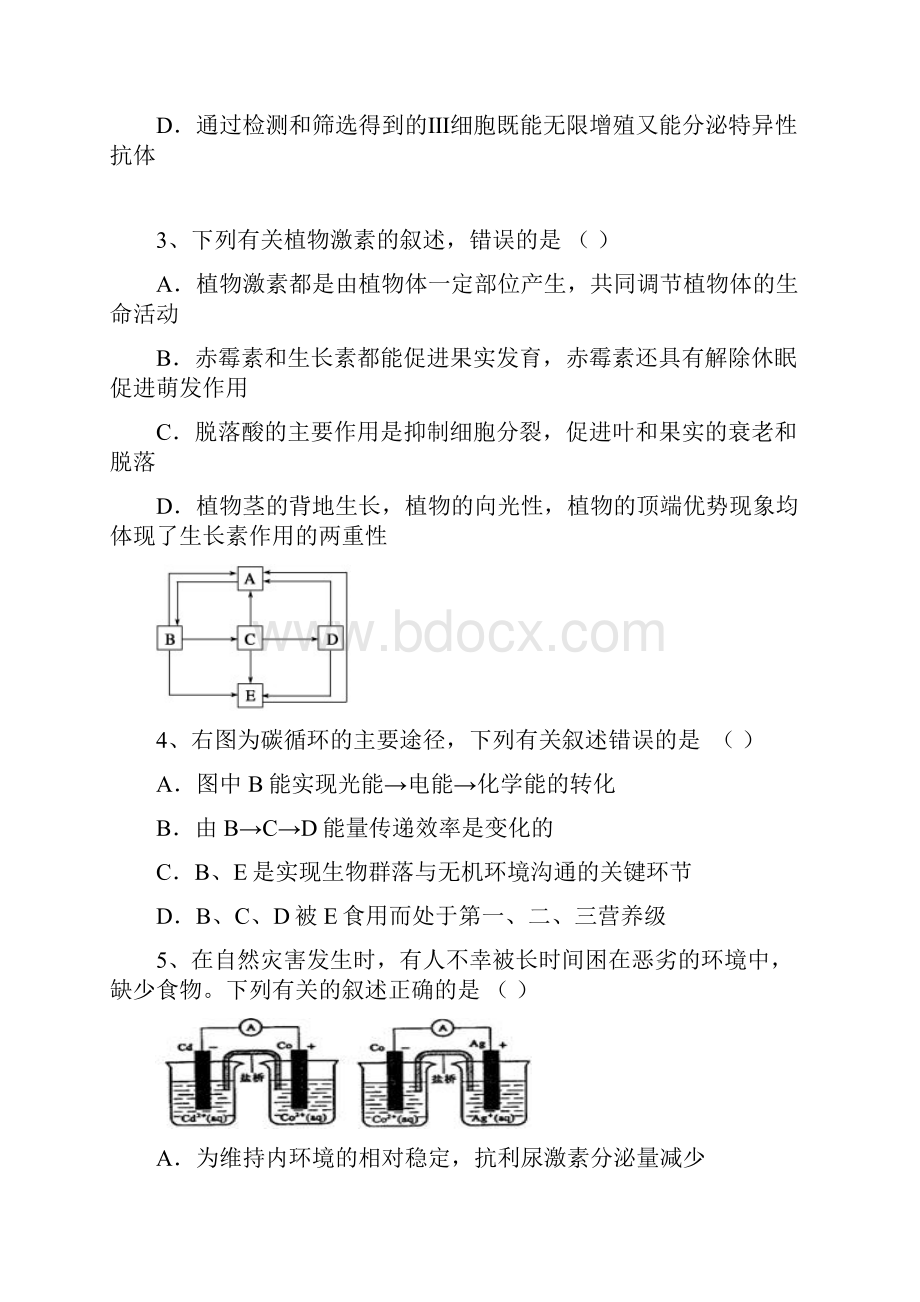 上饶县二中届高三理综训练4.docx_第2页