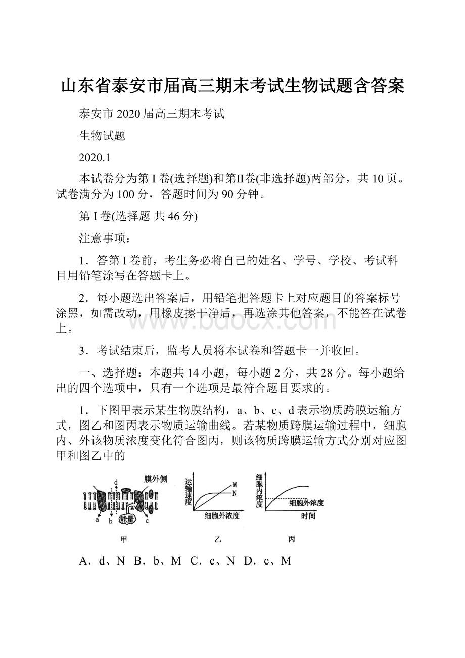 山东省泰安市届高三期末考试生物试题含答案.docx