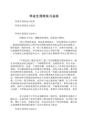 毕业生顶岗实习总结.docx