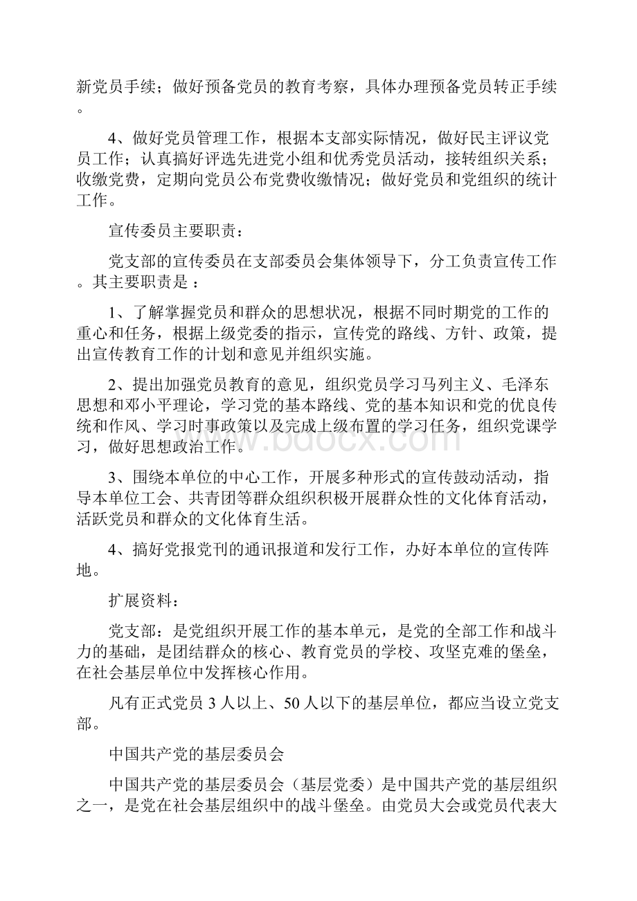 党建网支部支委分工.docx_第2页