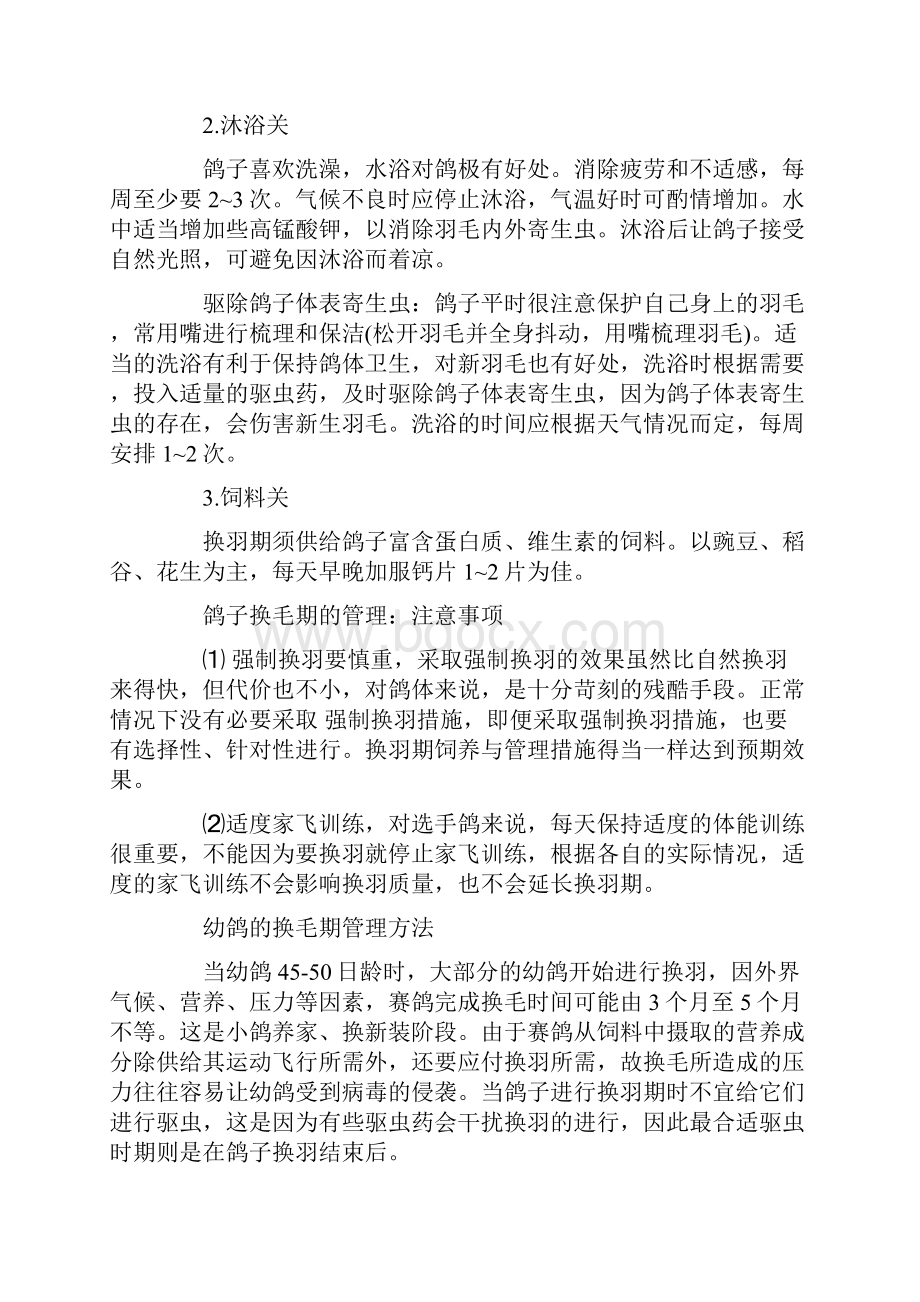 鸽子换毛期如何管理.docx_第2页