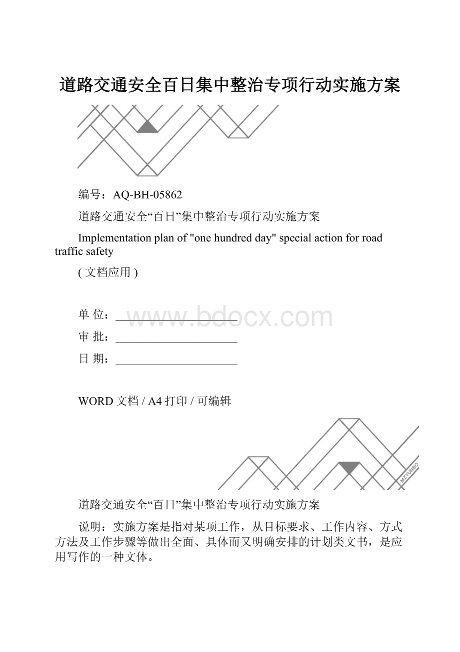 道路交通安全百日集中整治专项行动实施方案.docx