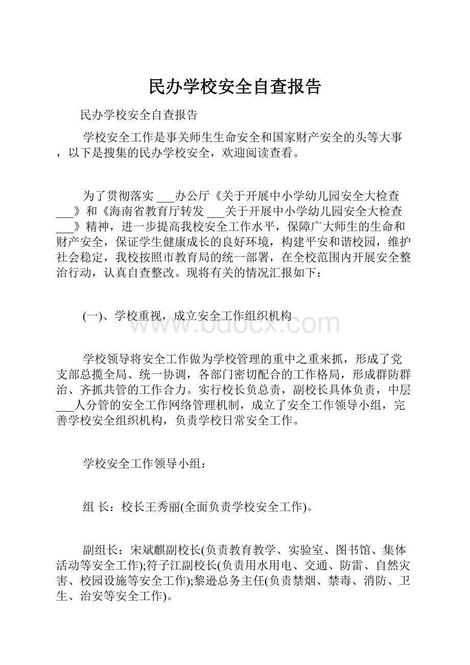 民办学校安全自查报告.docx