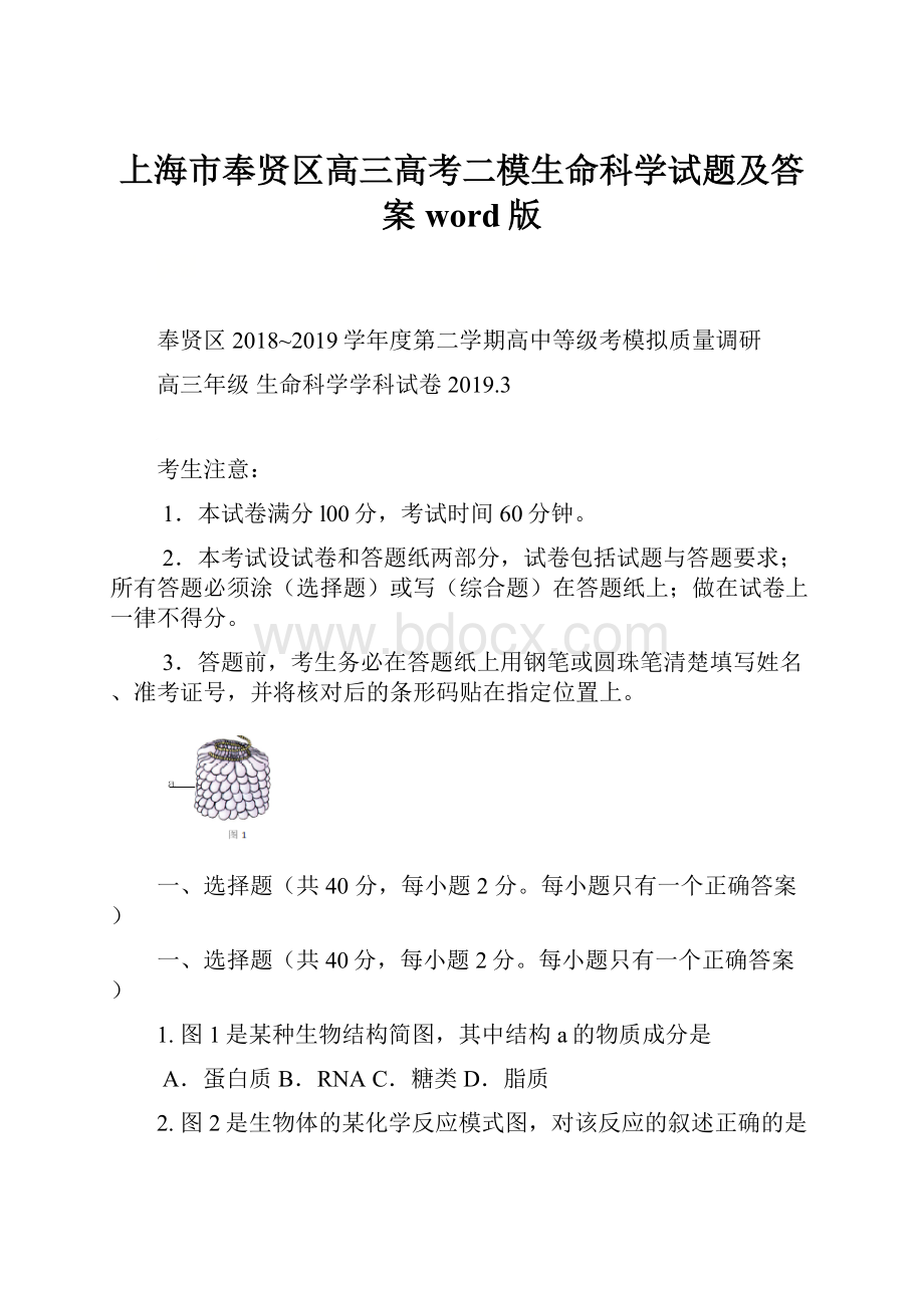 上海市奉贤区高三高考二模生命科学试题及答案word版.docx_第1页