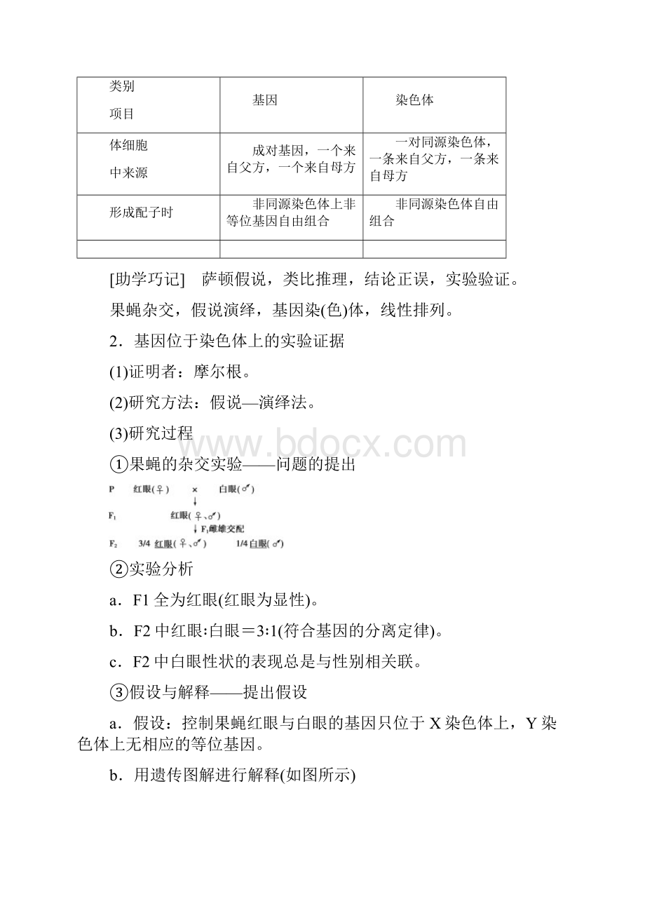 届高考生物一轮复习第五单元遗传的基本规律与伴性遗传第17讲基因在染色体上伴性遗传学案.docx_第2页