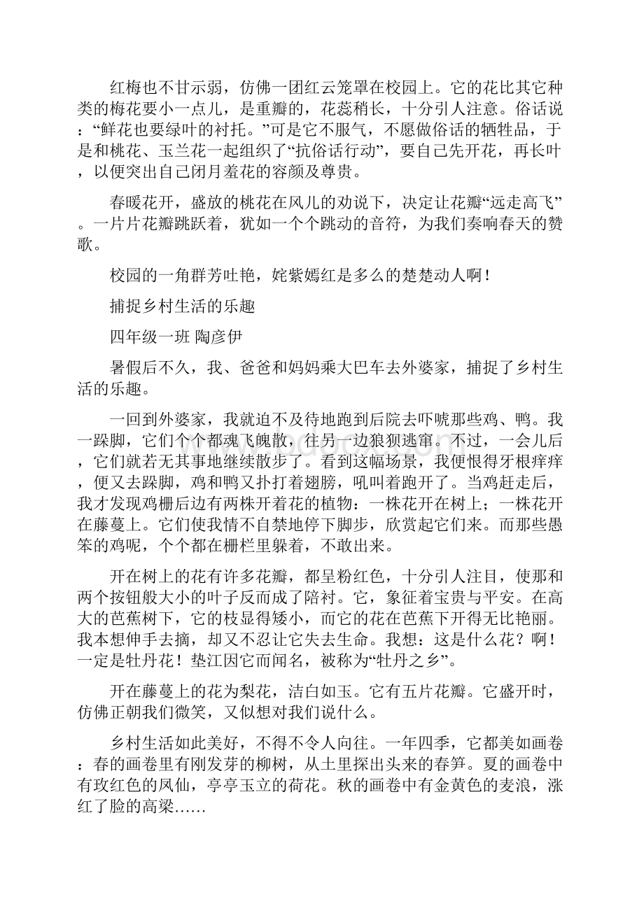 作文大收集合.docx_第2页