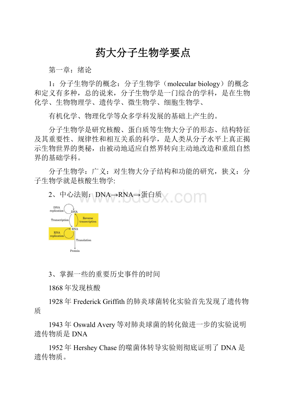 药大分子生物学要点.docx_第1页