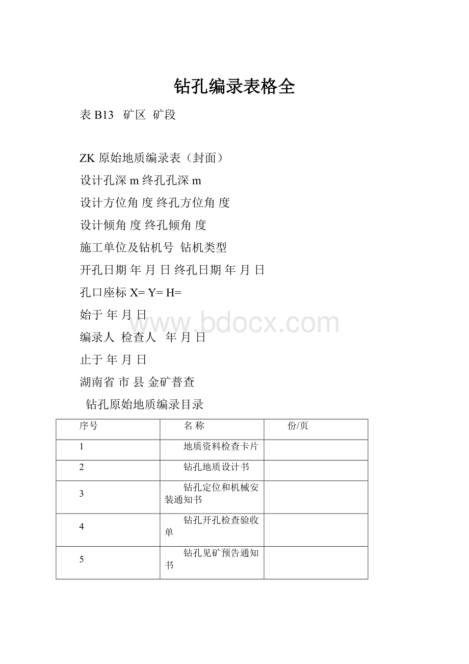 钻孔编录表格全.docx_第1页