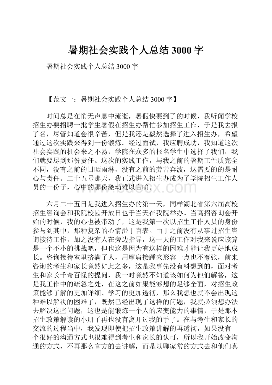 暑期社会实践个人总结3000字.docx_第1页