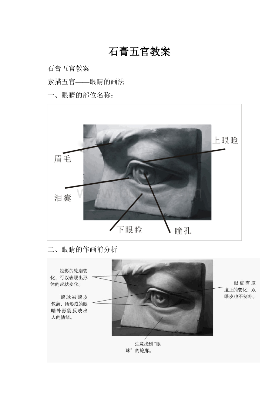 石膏五官教案.docx