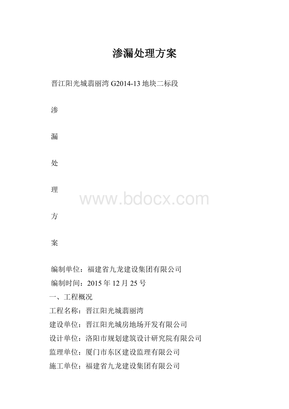 渗漏处理方案.docx_第1页