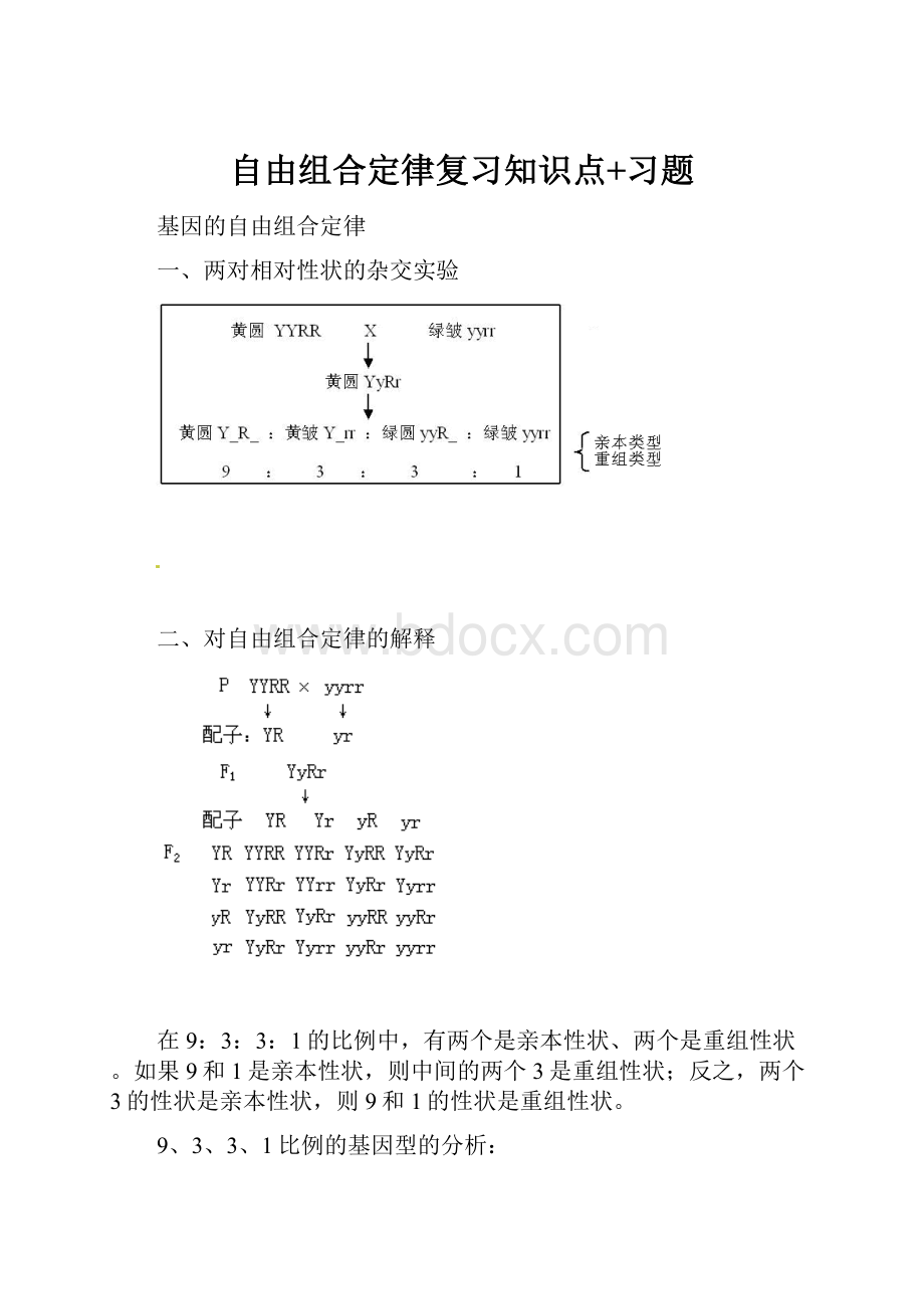 自由组合定律复习知识点+习题.docx