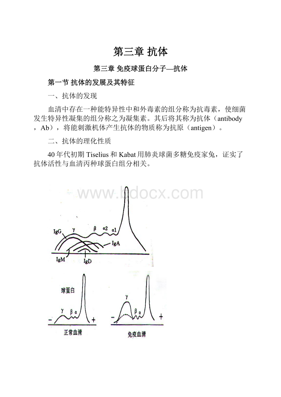 第三章 抗体.docx