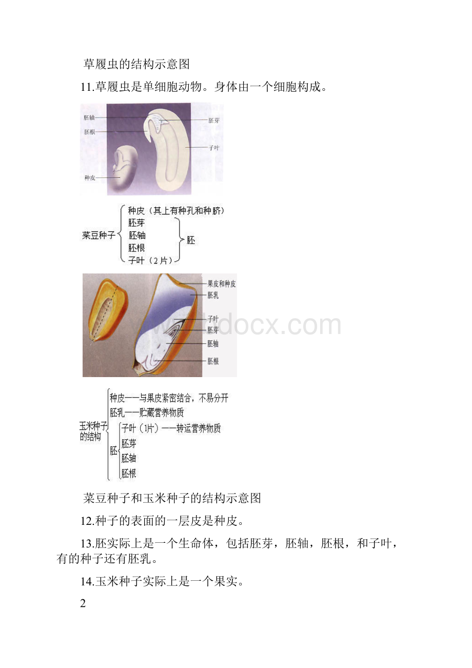 中考生物图专题附题目.docx_第3页