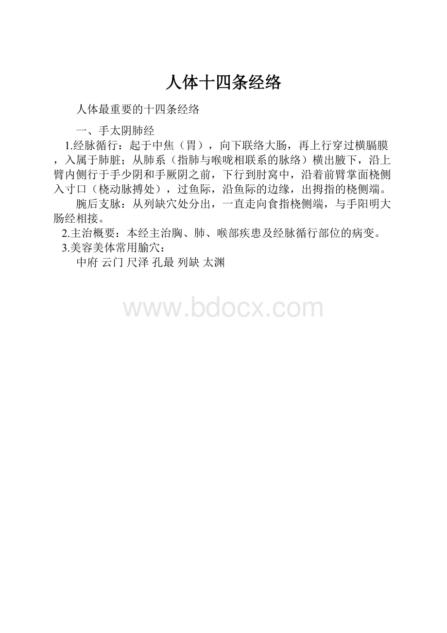 人体十四条经络.docx